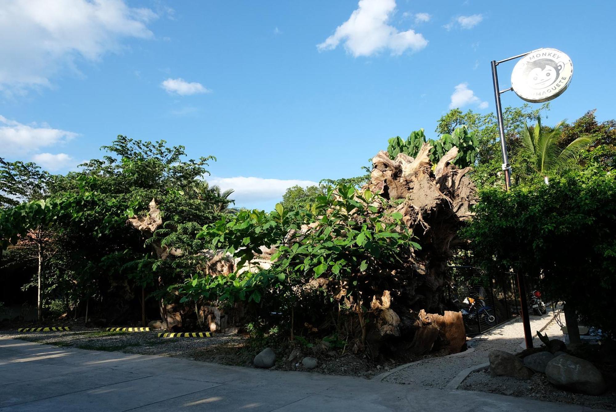 Hostel Mad Monkey Dumaguete Dumaguete City Exteriér fotografie
